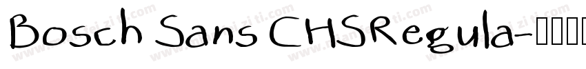 Bosch Sans CHSRegula字体转换